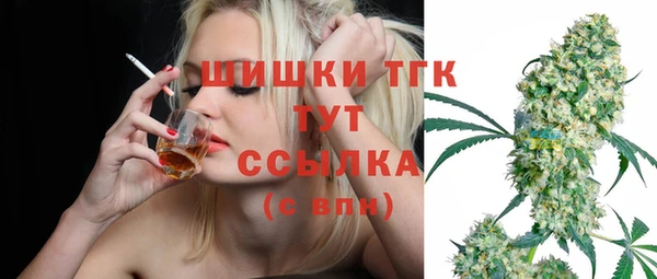 прущие грибы Пересвет