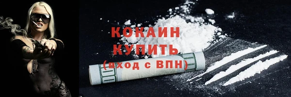 PSILOCYBIN Осинники