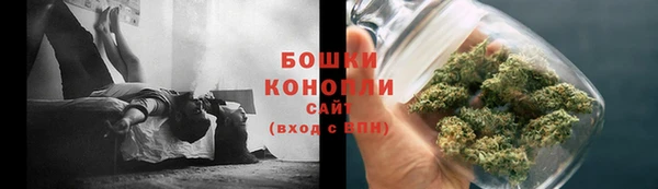 PSILOCYBIN Осинники