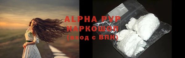 PSILOCYBIN Осинники