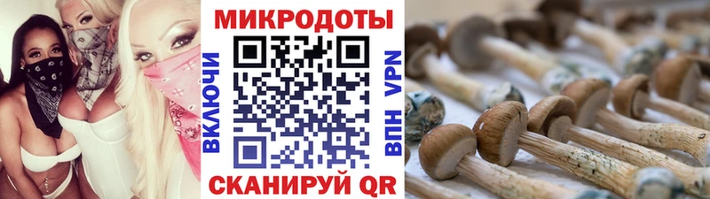 Галлюциногенные грибы MAGIC MUSHROOMS  ссылка на мегу как зайти  Оса 